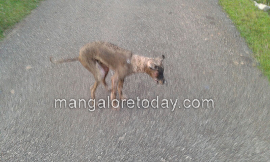 Oil tanker burst in Kumta